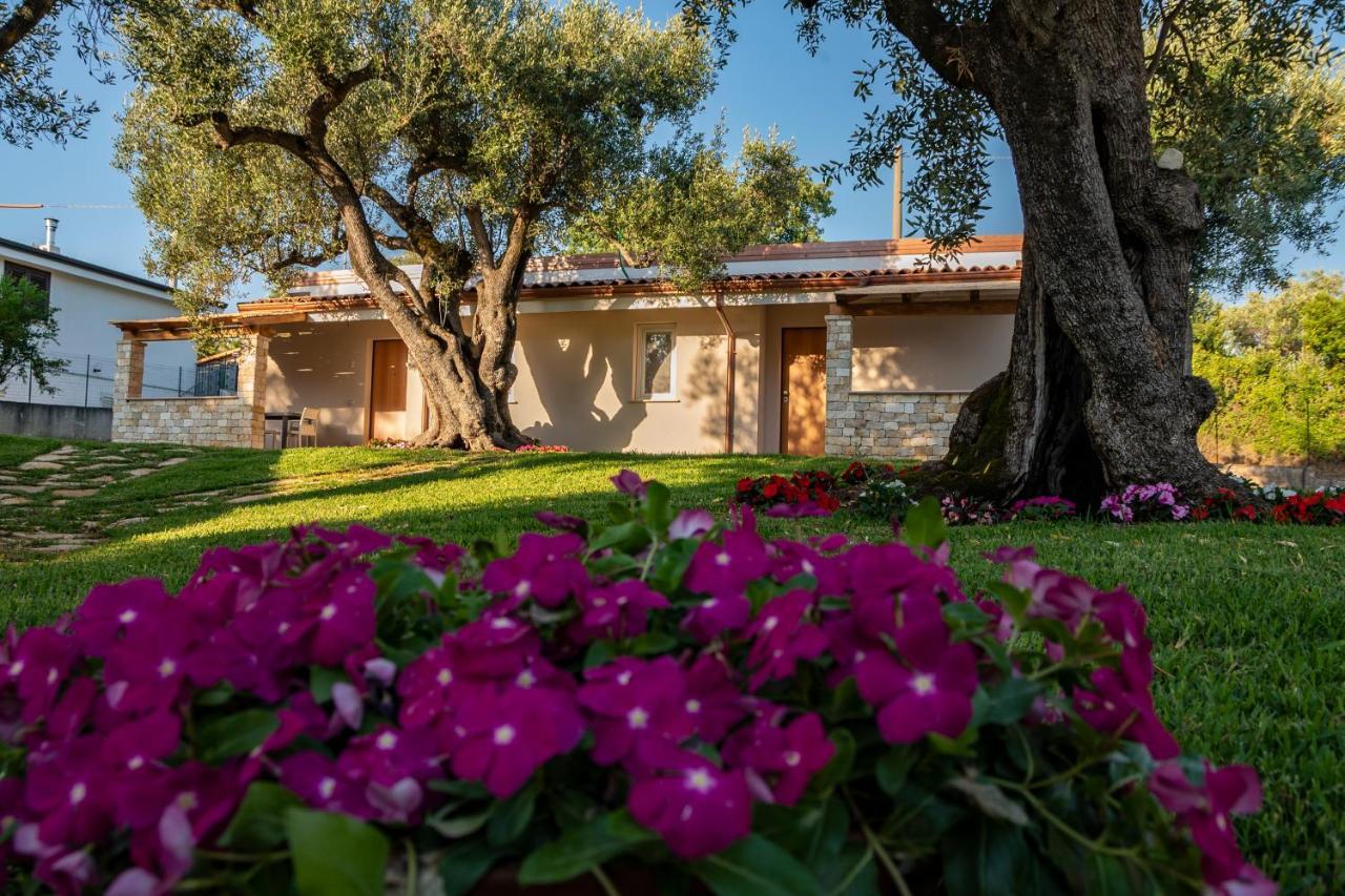 מרינה די קמרוטה Il Mirto Residence מראה חיצוני תמונה
